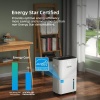 HOGARLABS 3500 Sq. Ft 50 Pint Energy Star Dehumidifier for Home Basements - Image 2